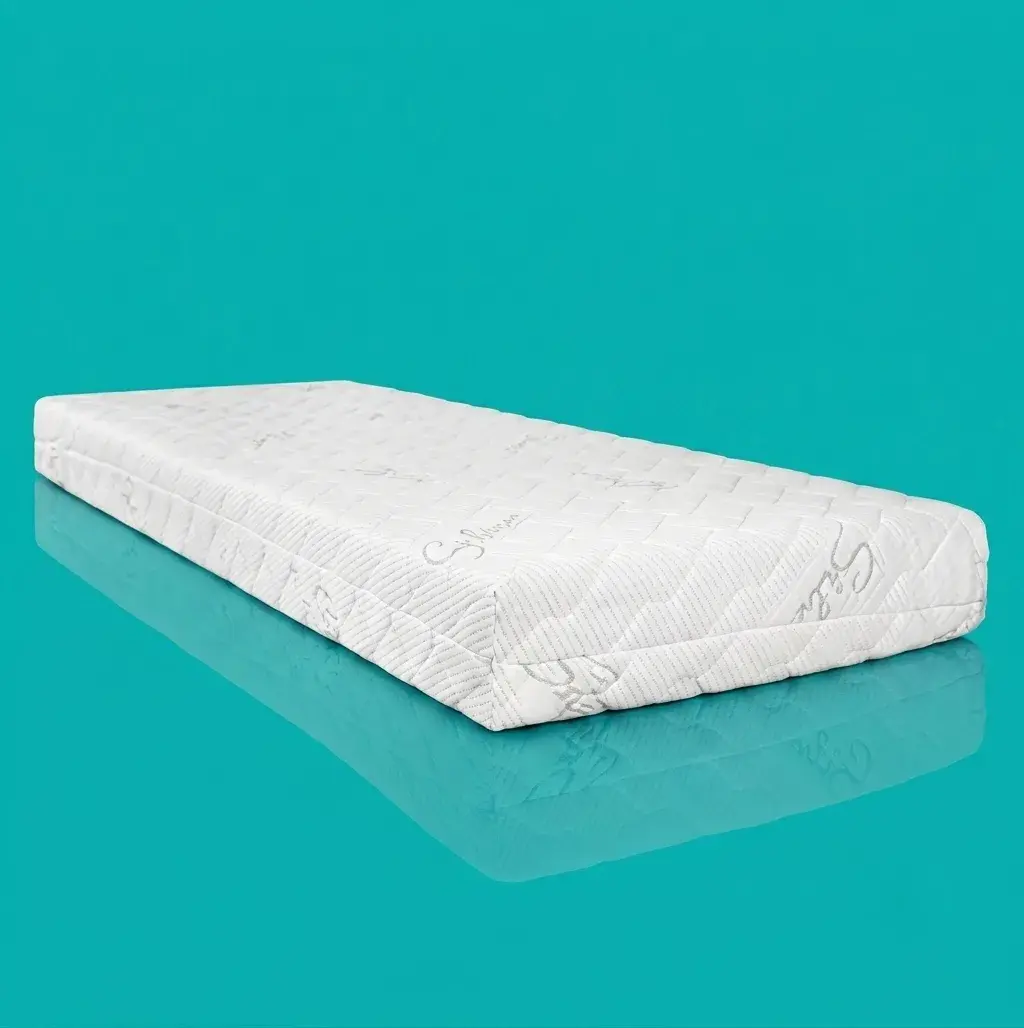 Dušek Elastic