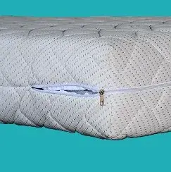 Dušek Elastic
